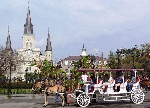 New Orleans Carriage