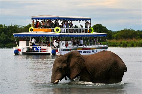 Zambezi River cruise