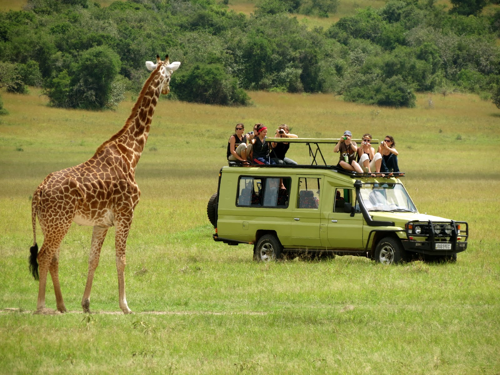 Tanzani Wildlife tour 1