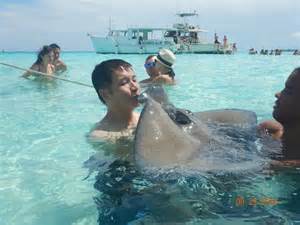 stingray city