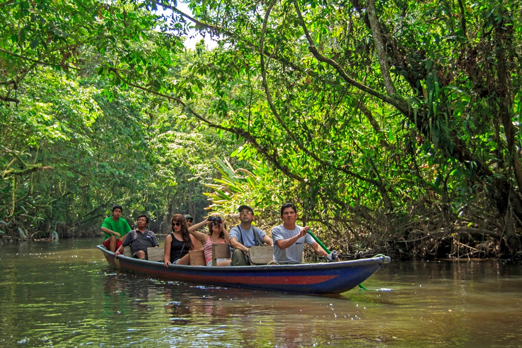 Amazon Canoe Excursions