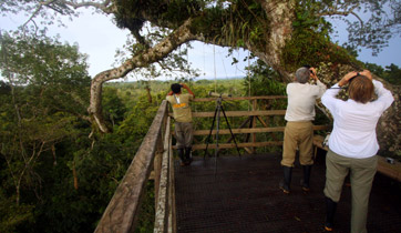 Amazon observation tower2