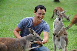 Kangaroo feeding Brisbane