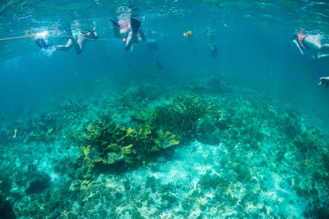 Snorkeling