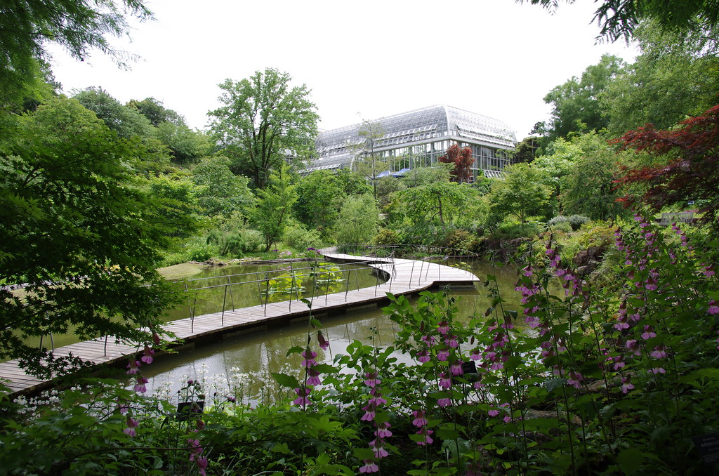 Makino Botanical Garden