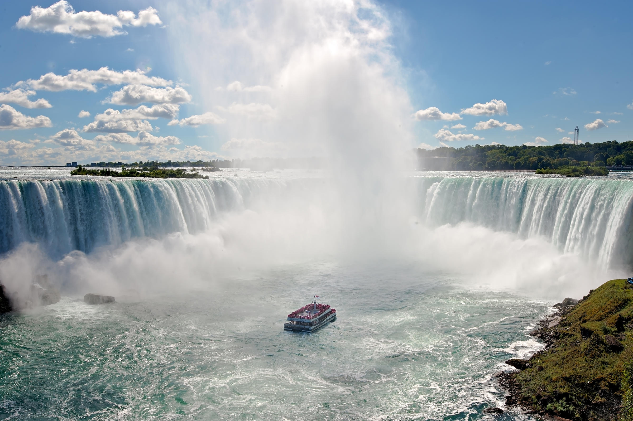 hornblower cruise