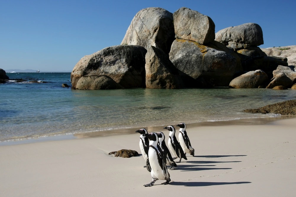 Boulders Beach