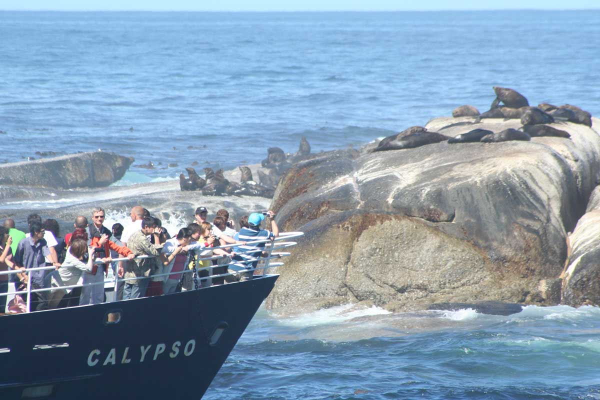 Duiker Island