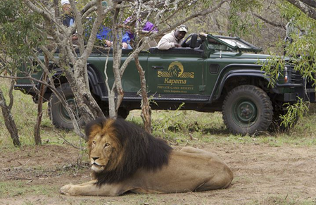 Kapama Safari