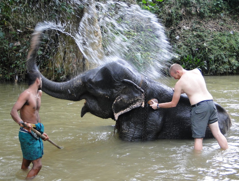 elephant bath