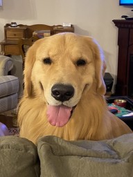 FCC51D52-32FD-478B-83E2-F17A15DDEC40