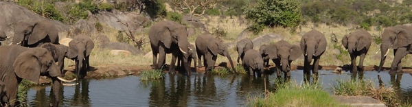 Tanzania-Zanzibar-Slideshow3