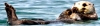 Alaska Glacier Cruise-Slideshow2