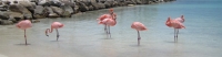 Aruba - Bonaire - Curacao Cruise-Slideshow2
