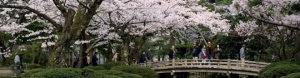 China - Korea - Japan Singles Cruise-slideshow5