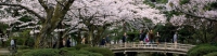 China - Korea - Japan Singles Cruise-slideshow5