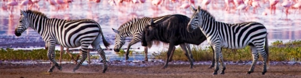 Tanzania-Zanzibar-Slideshow2