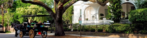 Charleston- slideshow3