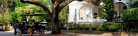 Charleston- slideshow3