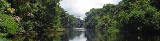 Costa rica vacation information image5-slideshow