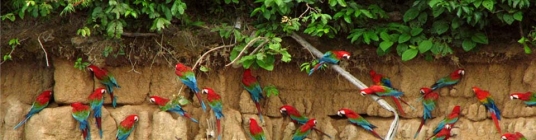 Ecuador vacation information - slideshow6