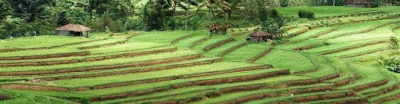 Bali Vacation information image6 - slideshow