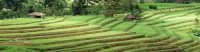 Bali Vacation information image6 - slideshow