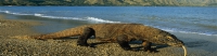 Bali Vacation information image4 - slideshow