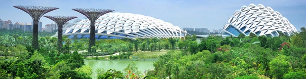 Asian Discovery Tour -slideshow5