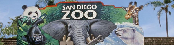 San Diego - Slideshow1