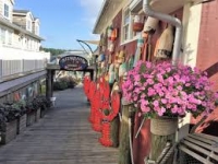 New England & Canada Fall Cruise 2024