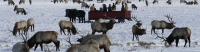 Yellowstone & Grand Teton National Parks -slideshow3