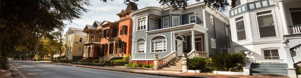 Savannah-Slideshow5