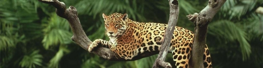 Ecuador vacation information - slideshow8