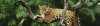 Ecuador vacation information - slideshow8
