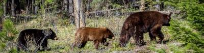 Banff Canada - slideshow3