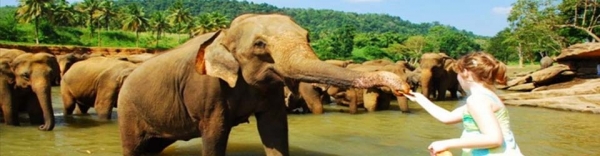 India &amp; Sri Lanka Singles Cruise -slideshow3