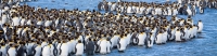 Antarctica Singles Cruise-slideshow5