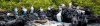 galapagos islands image1 - slideshow