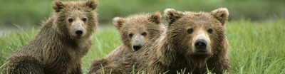 Alaska Scenic vacation image3 - slideshow