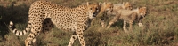 Tanzania-Zanzibar-Slideshow1