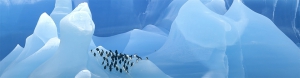 Antarctica Singles Cruise-slideshow3