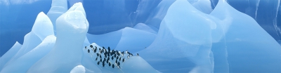 Antarctica Singles Cruise-slideshow3