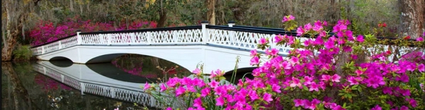 Charleston- slideshow5