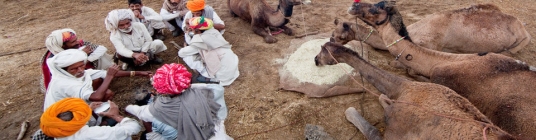 india image3 - slideshow