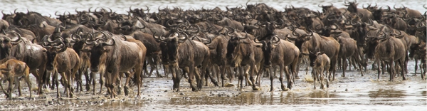 Tanzania-Zanzibar-Slideshow4